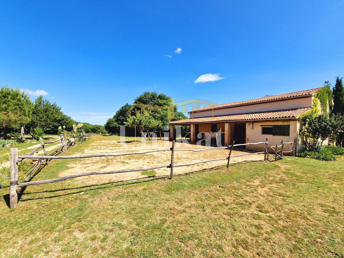 Autentica proprietà con casa in pietra e ampio terreno